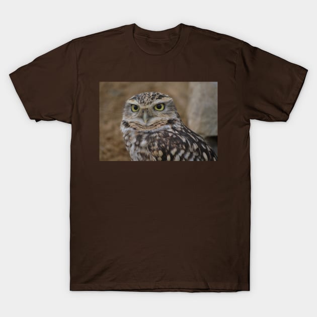 Burrowing Owl T-Shirt by snknjak